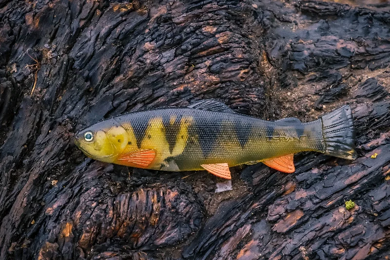 DEFIANT 247 Swimbait Ghost Perch