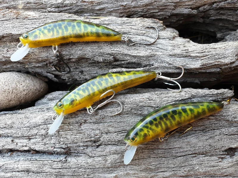 Australian River Blackfish (limited Edition, 1-100)