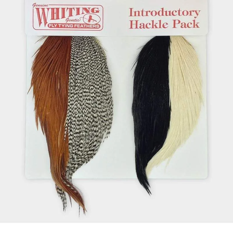 Whiting Farms Introductory Hackle Pack