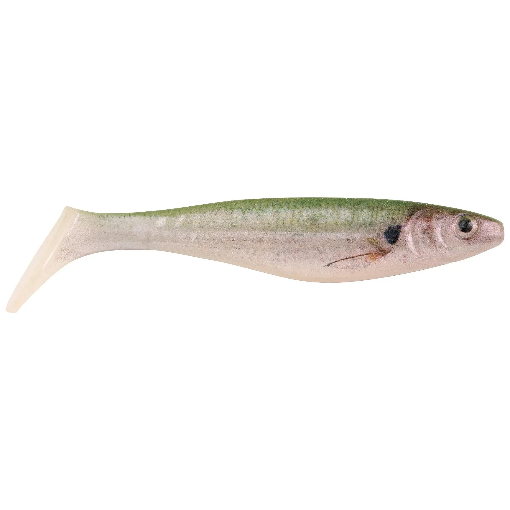 Berkley PowerBait Champ Swimmer 3" Qty 8 HD Tennessee Shad