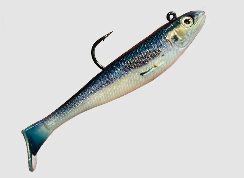 Sardine