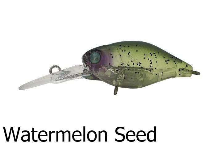 Watermelon Seed