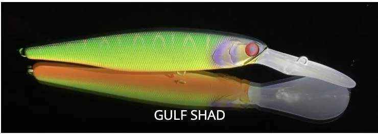 Gulf Shad