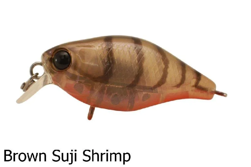 Brown Suji Shrimp