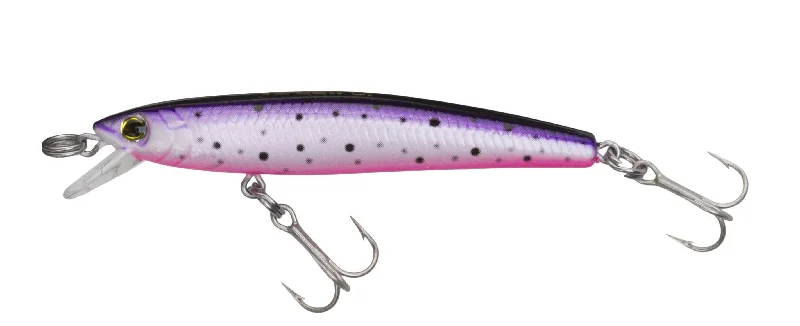 Purple Rainbow Trout