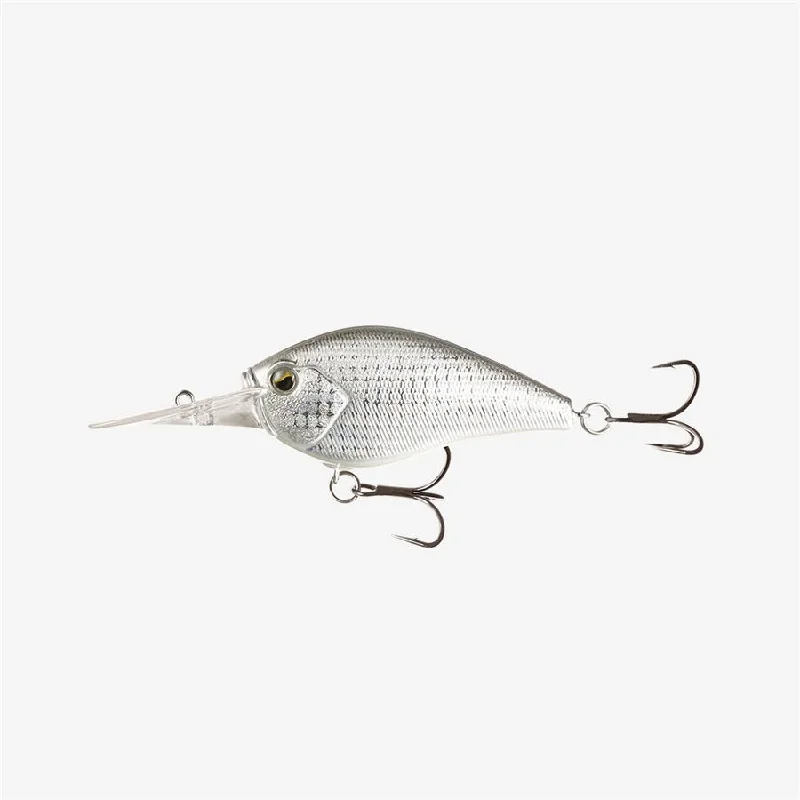 Disco Shad