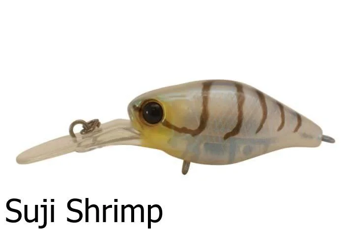 Suji Shrimp