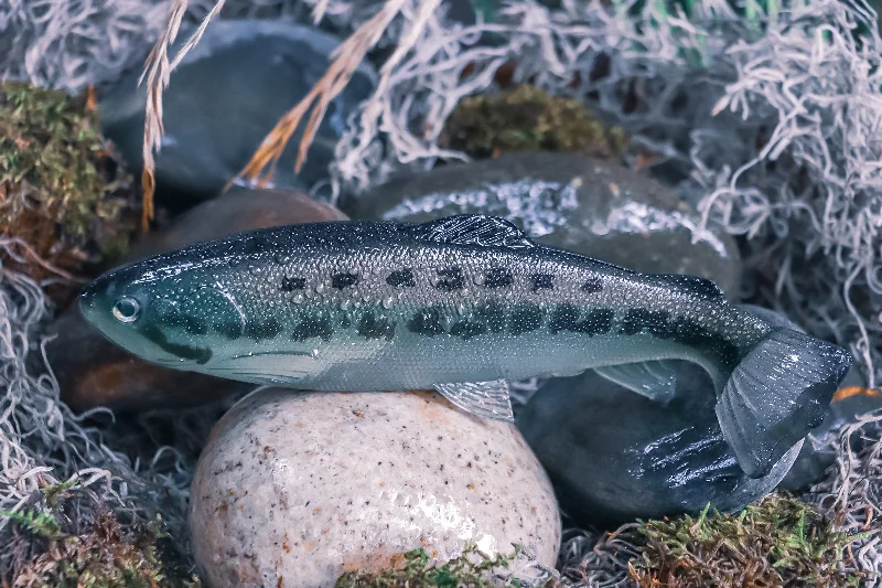 DEFIANT 210 8.25" Swimbait Ghost Black Bass